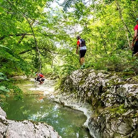 Istrian With Pool For 5 Guests Villa Roc